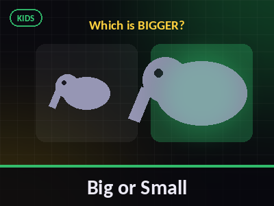 Big or Small